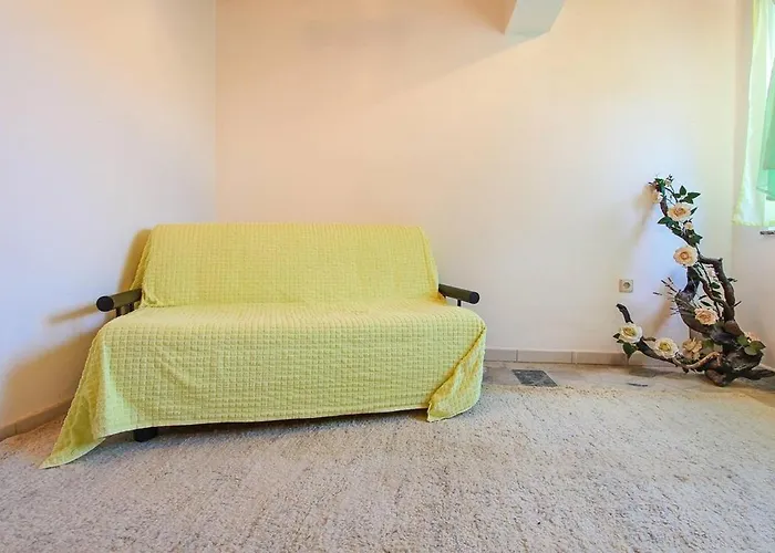 Zdravko * Μεντουλίν